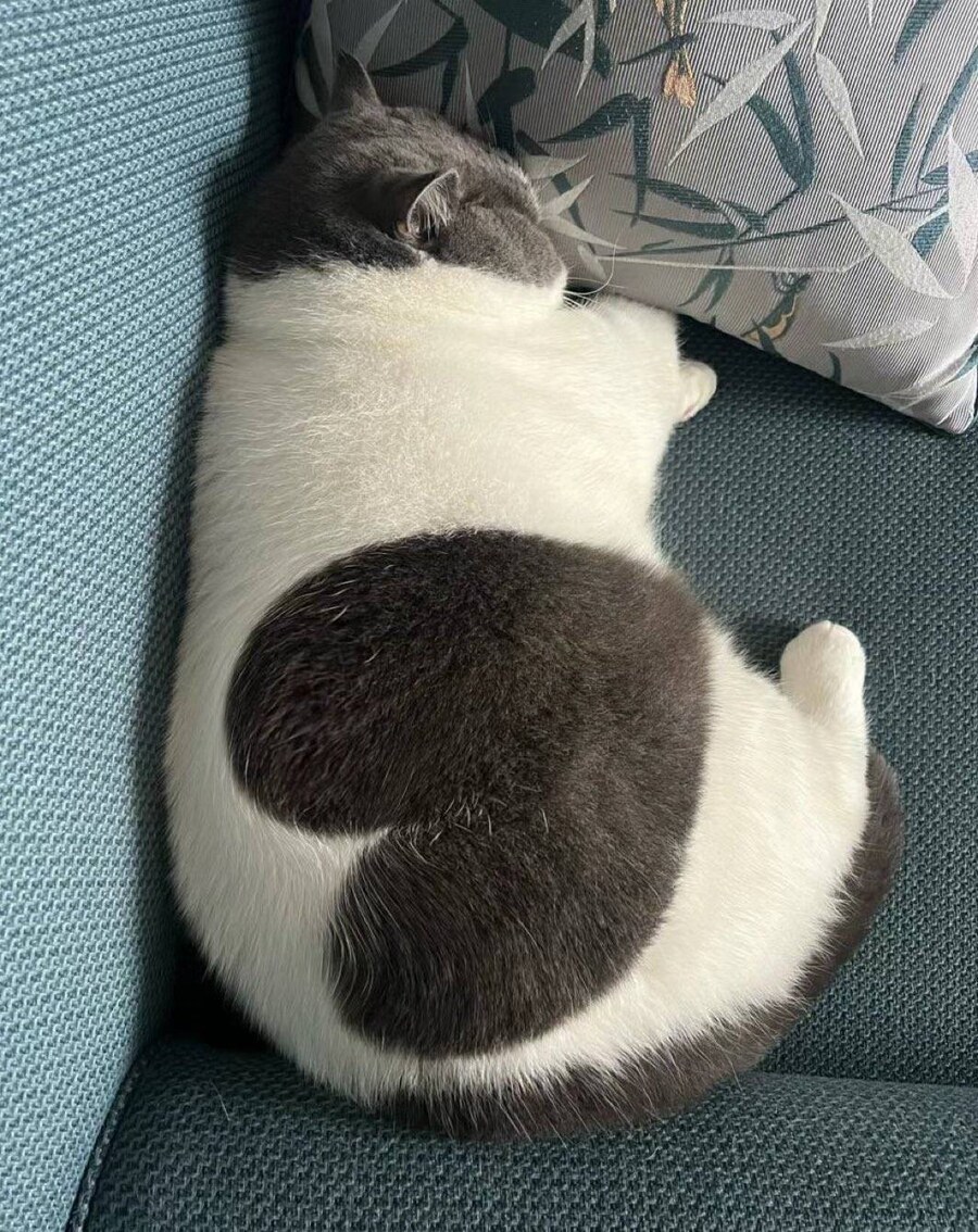 엉덩이에 음탕한 하트문신하고 누워있는_1.jpg
