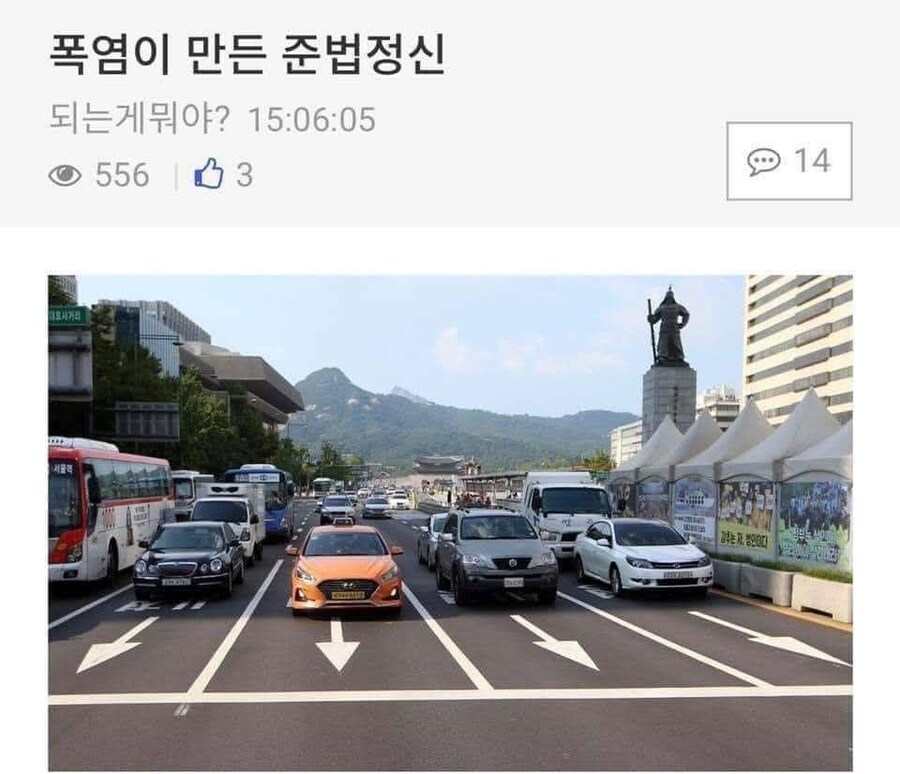 폭염이 만든 준법정신_1.jpg