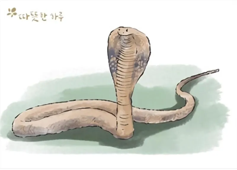 코브라 효과 jpg._1.webp