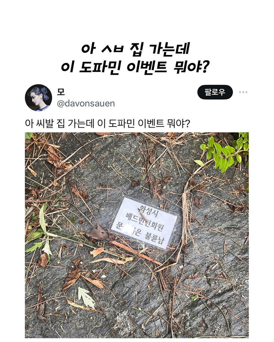 신규 퀘스트의 힌트가 발견되었습니다._1.jpg