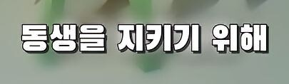 부모님 몰래 여동생을 창고로 데려 가려는 오빠 jpg._22.jpg