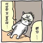 부담스러운 소개팅녀 복장.jpg_2.jpg