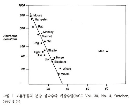 수명과 관련 있다고 여겨지는 숫자_1.jpg
