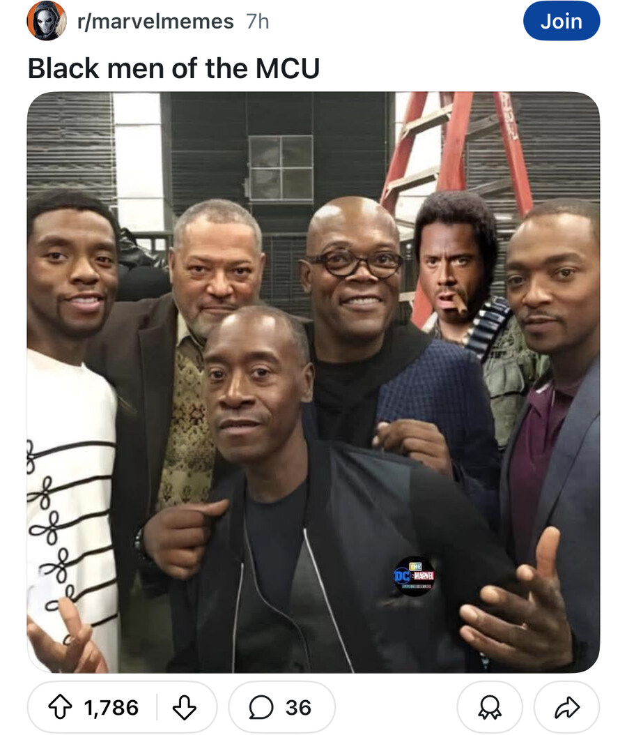MCU 출연 흑인 배우들.jpg_1.jpg