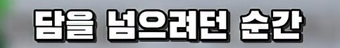 PC방 가려고 담 넘던 학생의 끔찍한 최후_10.png