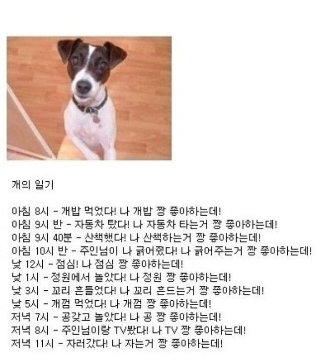 개와 고양이의 일기.jpg_1.jpg