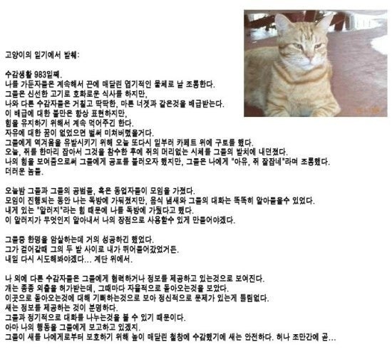 개와 고양이의 일기.jpg_2.jpg