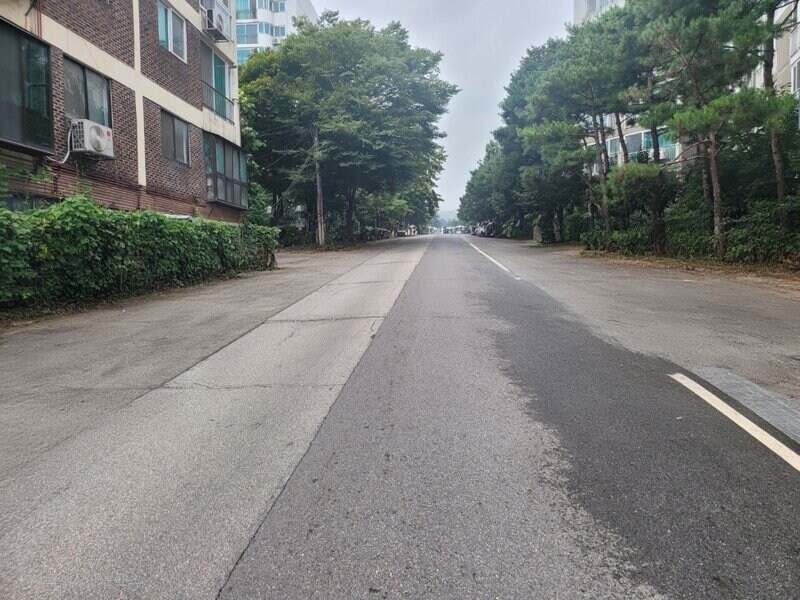 AI로 없애본 불법주차 거리.jpg_10.jpg