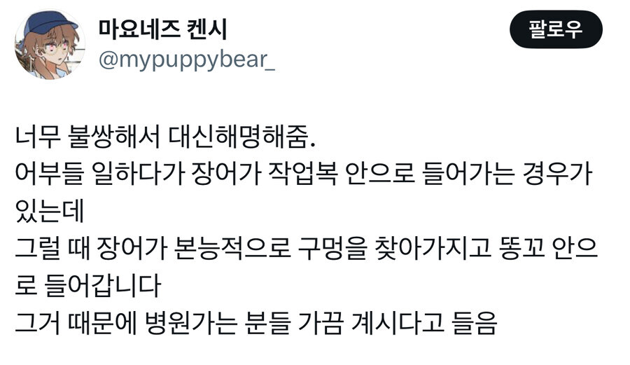 넘어질때 조심할거_2.jpg