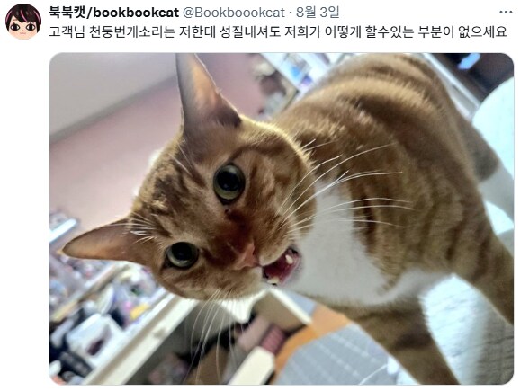 ???: 아이~ 싯팔!!! 자려는데 시끄러운 소리가 거슬리잖아!_1.png