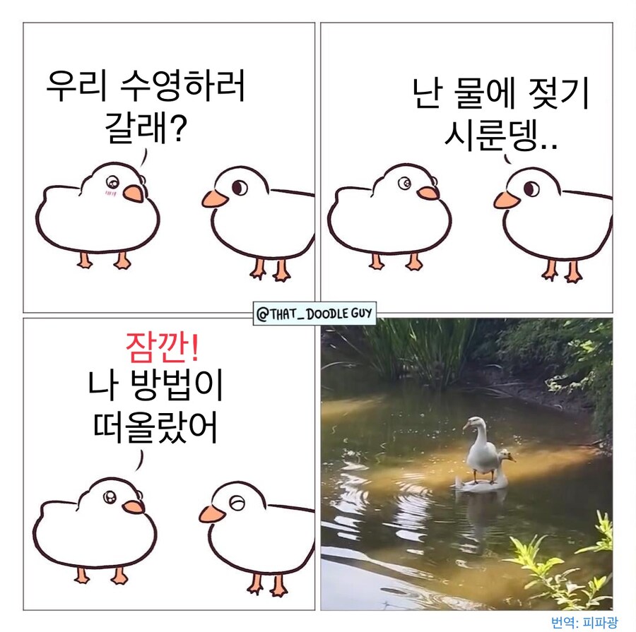 “우리 수영하러 갈래?”.jpg_1.jpg