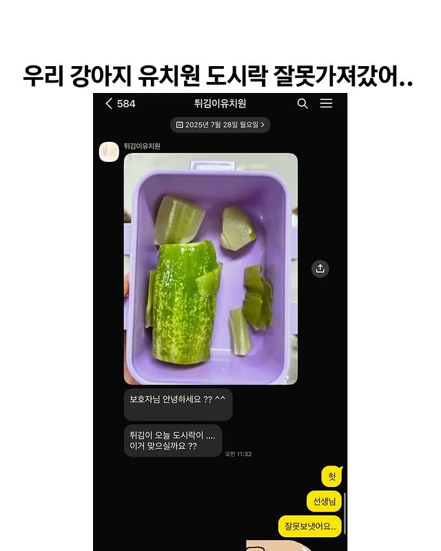 우리 강아지 유치원 도시락 잘못가져갔어.._1.webp