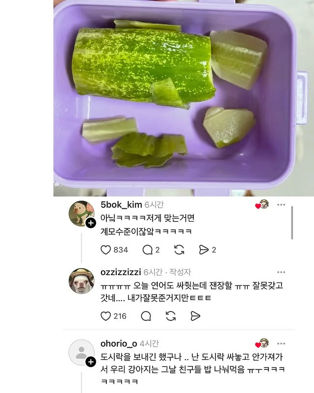 우리 강아지 유치원 도시락 잘못가져갔어.._2.webp