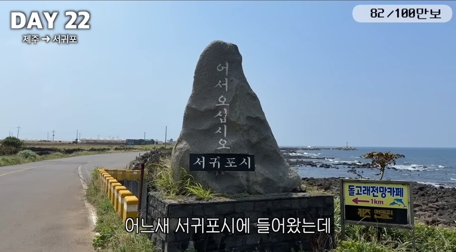 제주도 걷다 보면 볼 수 있는거_1.jpg