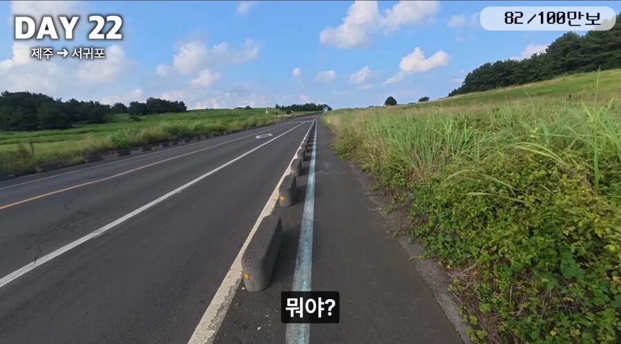 제주도 걷다 보면 볼 수 있는거_2.jpg