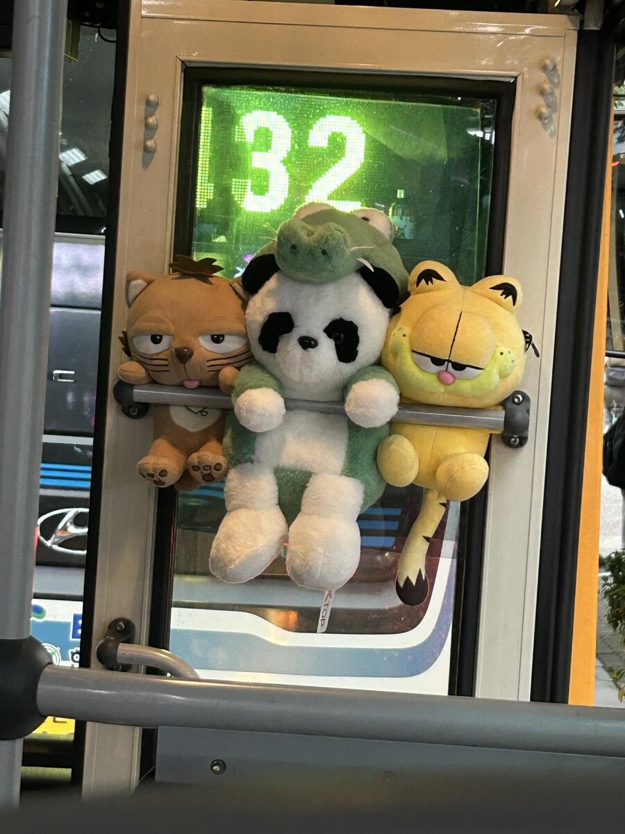 버꾸 모음_4.jpg