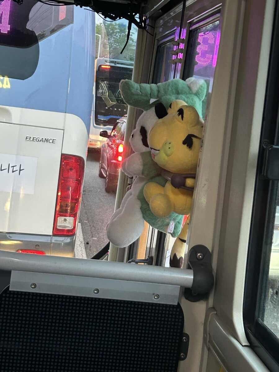 버꾸 모음_5.jpg