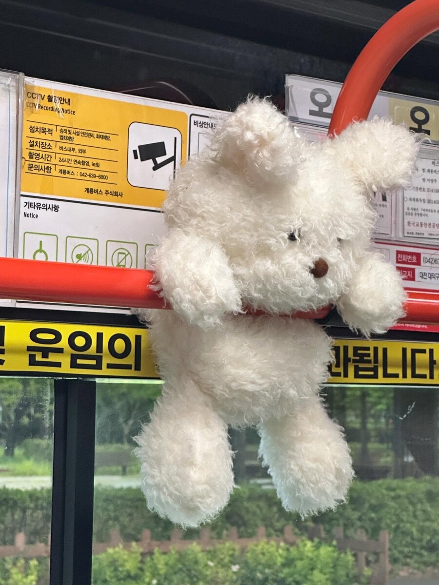 버꾸 모음_8.jpg