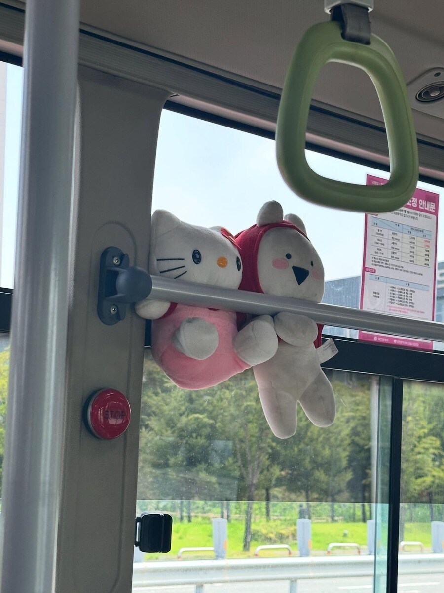 버꾸 모음_9.jpg