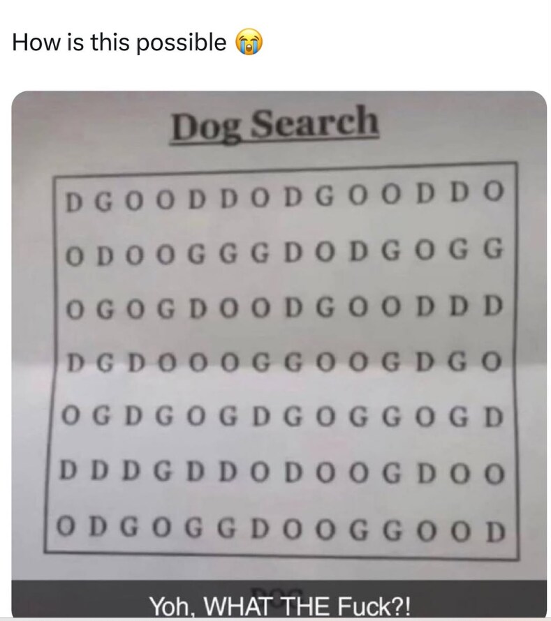 DOG 빨리 찾기(어려움)_1.png
