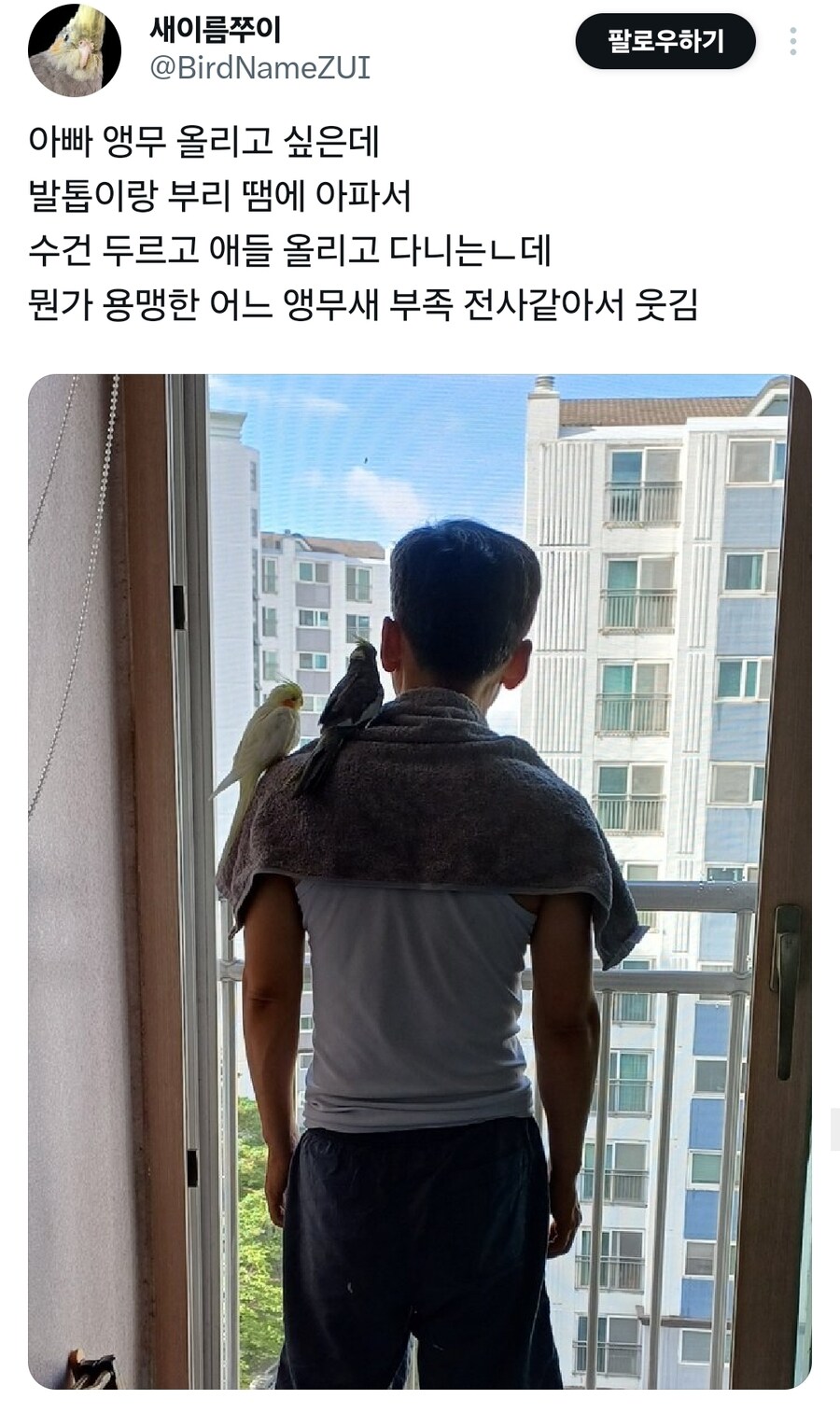 앵무새를 어깨에 올리고 싶었던 아버지_1.jpg