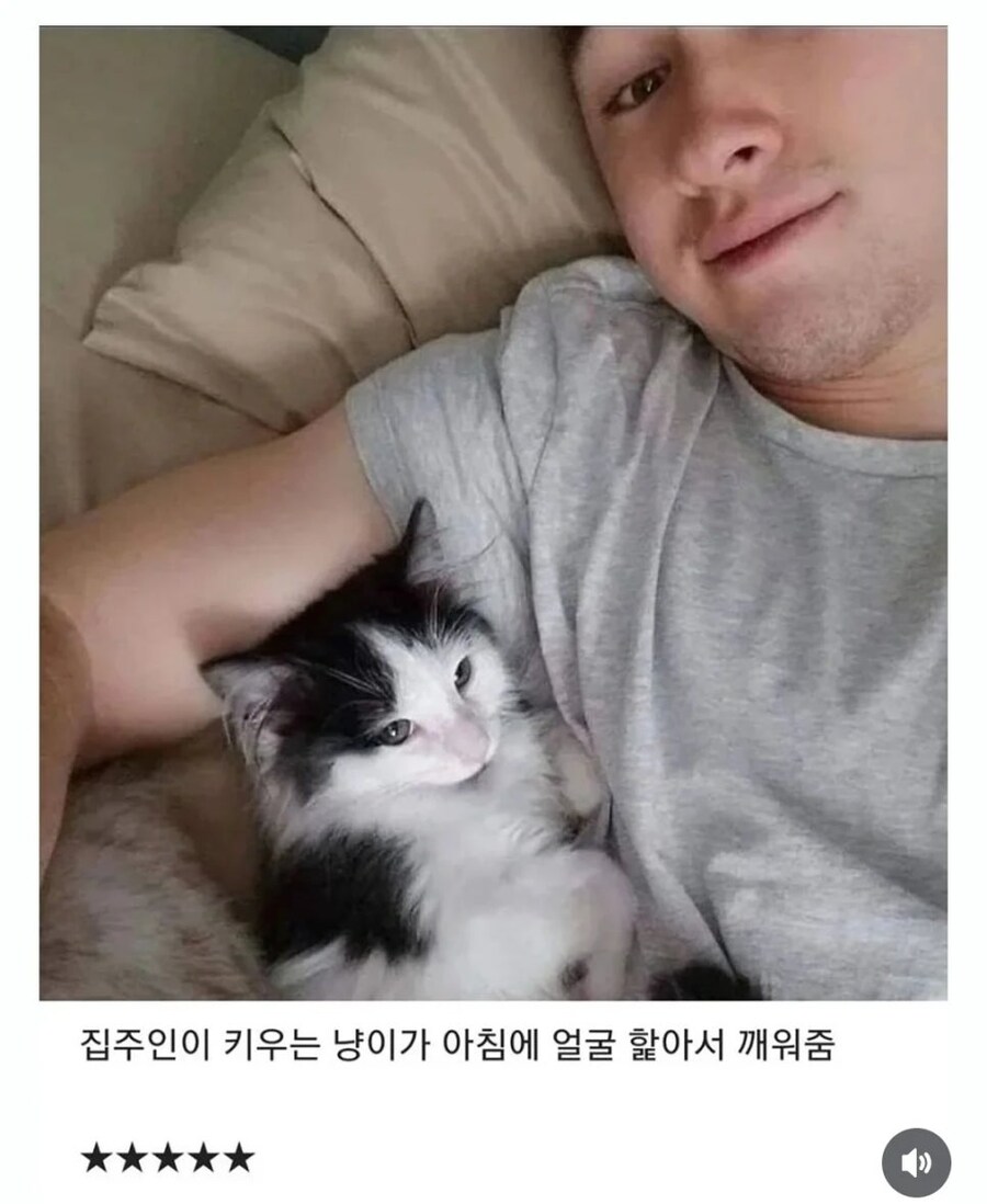 에어비앤비 별이! 별이 다섯개! 짜리 서비스_1.jpg