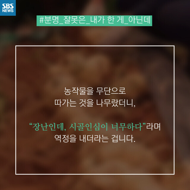한국이 카드나 폰을 봐도 훔치지 않는 이유_3.jpg