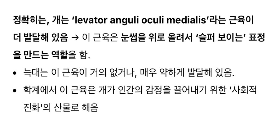 늑대와 개의 차이점_2.jpg