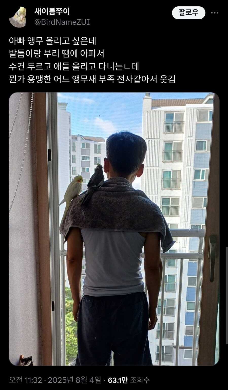 앵무새 발톱이 아파서 수건을 두르고 다니는 아빠.twit_1.jpg