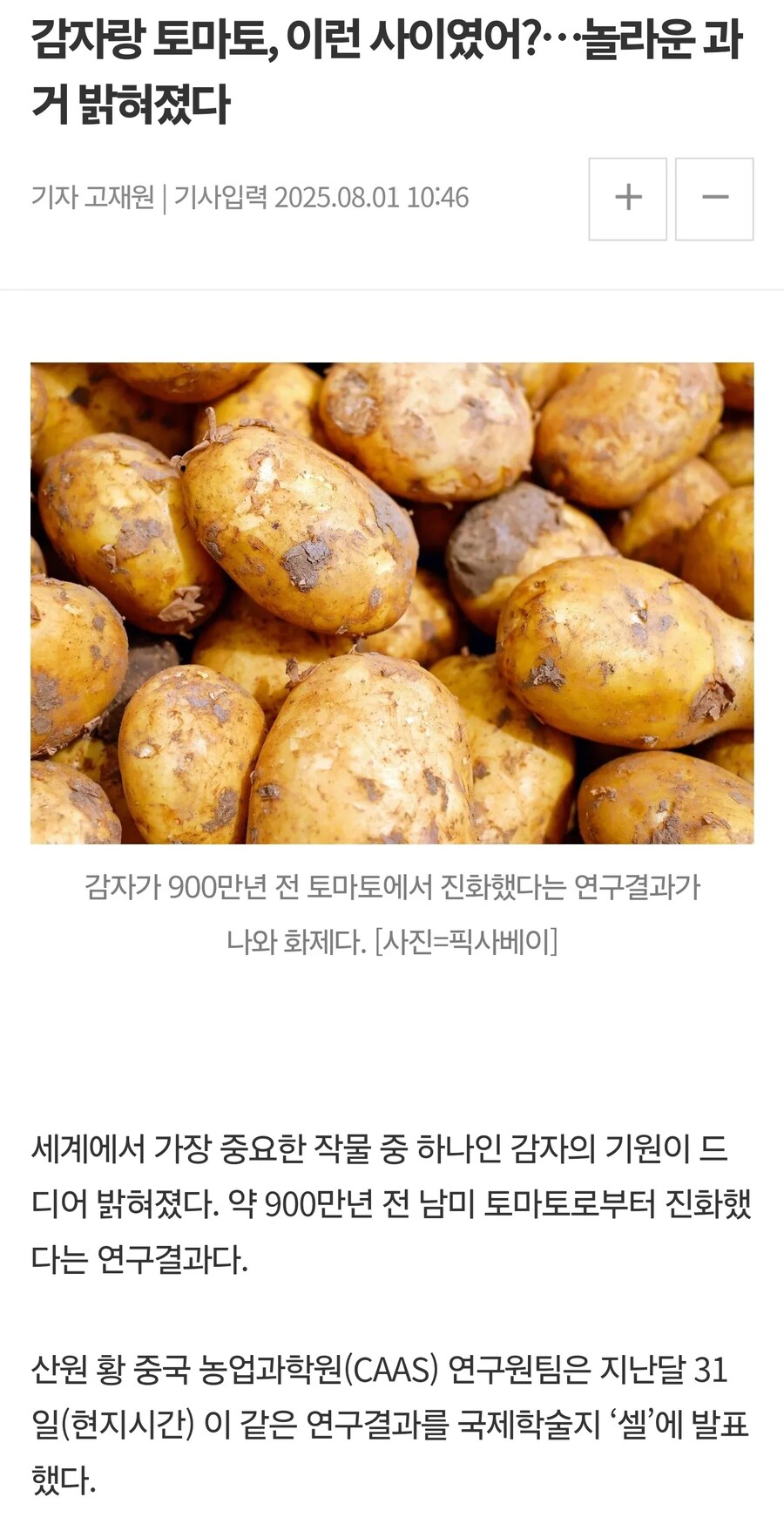 감튀를 케찹에 찍어 먹으면 큰일 나는 이유.jpg_1.png