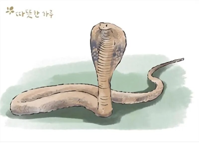 코브라 효과_1.jpg