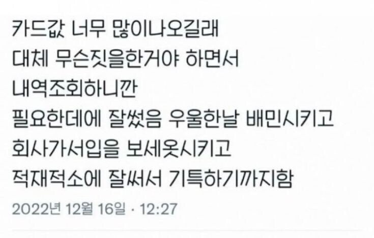 카드값 너무 많이 나왔는데 잘썻음._1.jpg