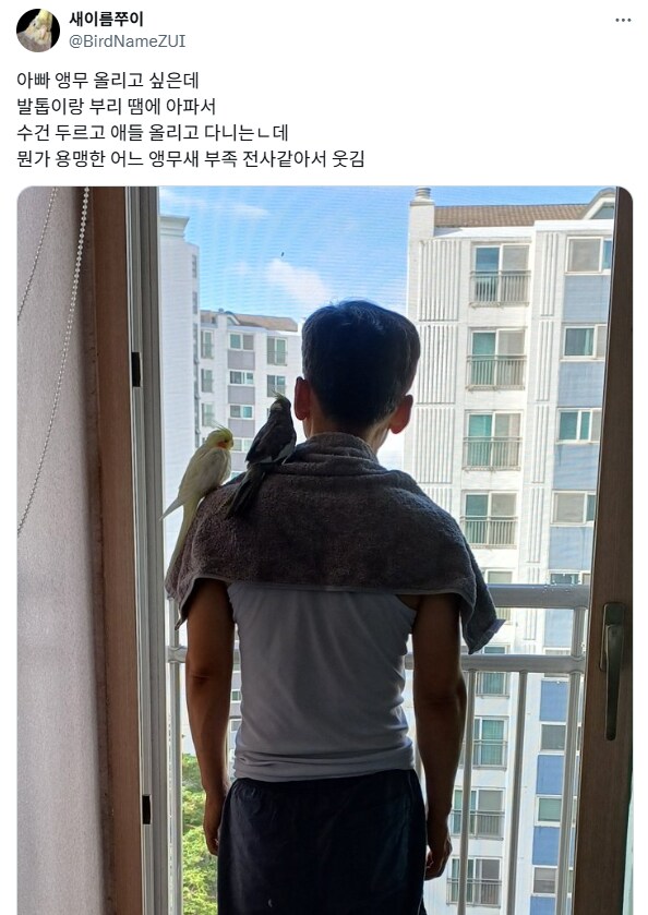 용맹한 어느 앵무새 부족의 전사 사진.jpg_1.png