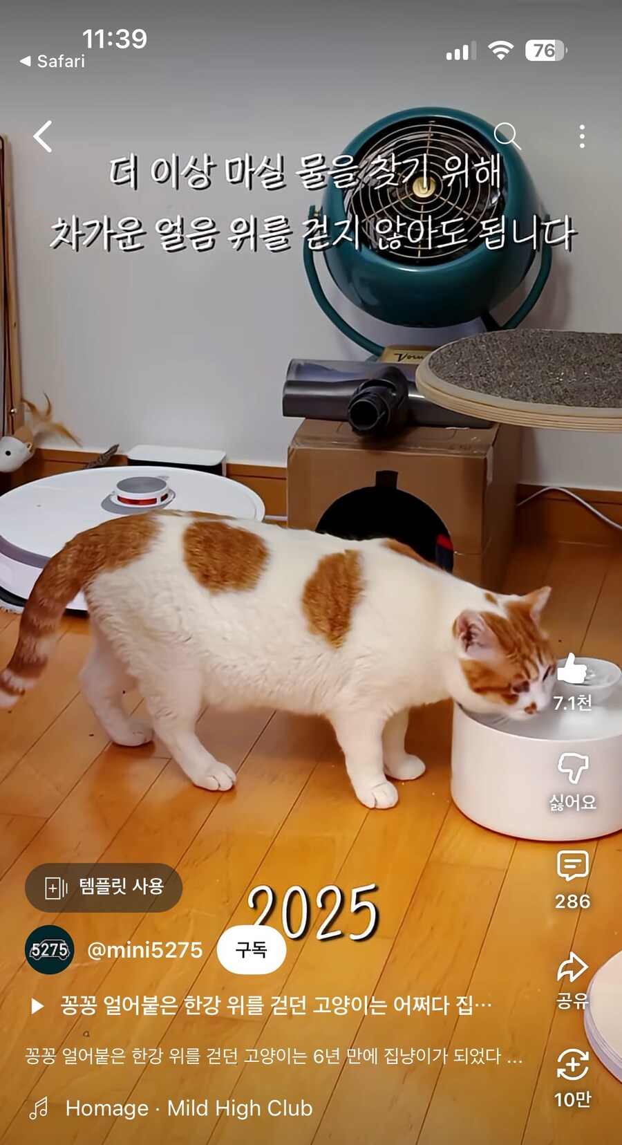 꽁꽁 얼어붙은 한강 위를 고양이가......_2.jpg