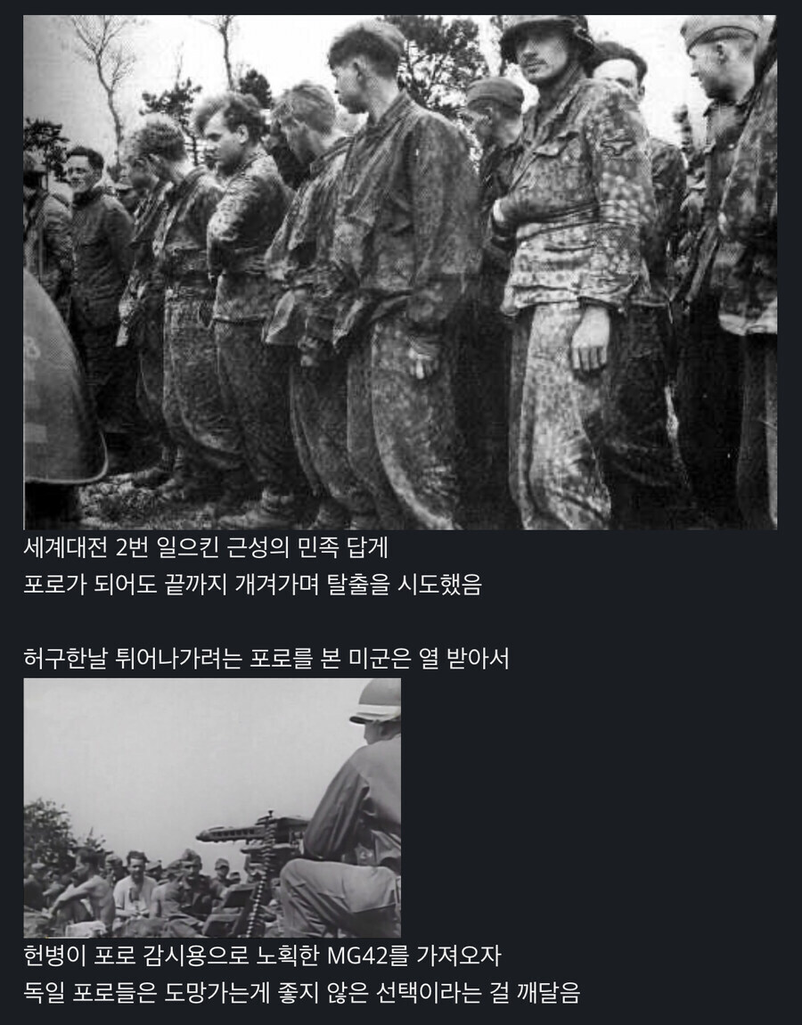 2차대전때 나치 포로들이 탈출 하지 않은 이유_1.jpg
