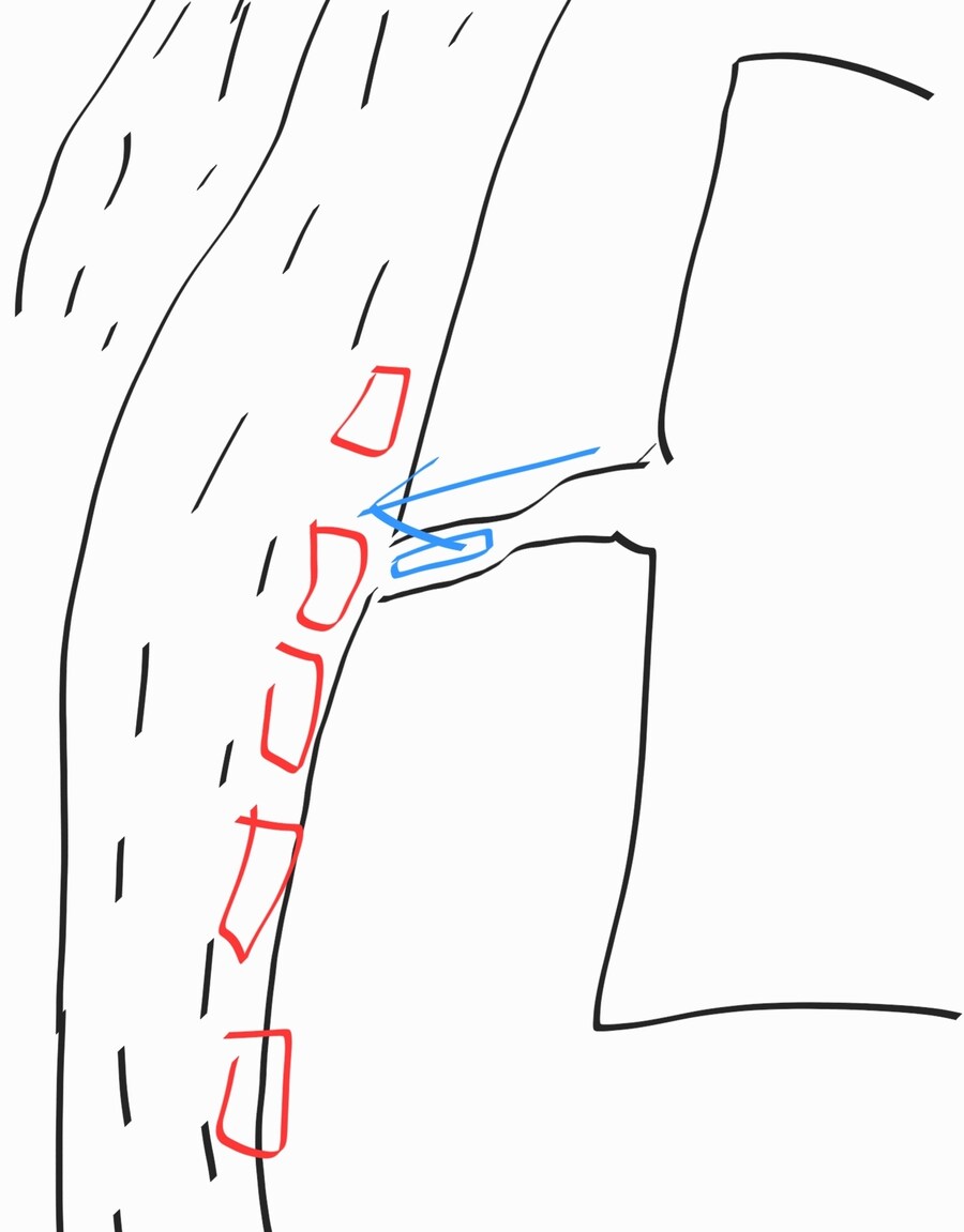 우리동네 제네시스 g90 한대_1.jpg