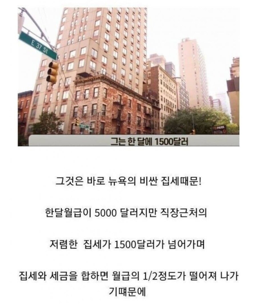 1500달러면 싸지_1.jpg