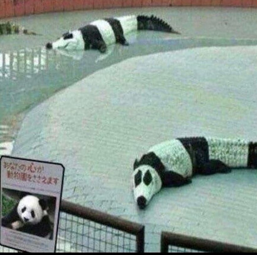 물판다 보실?.jpg_1.jpg