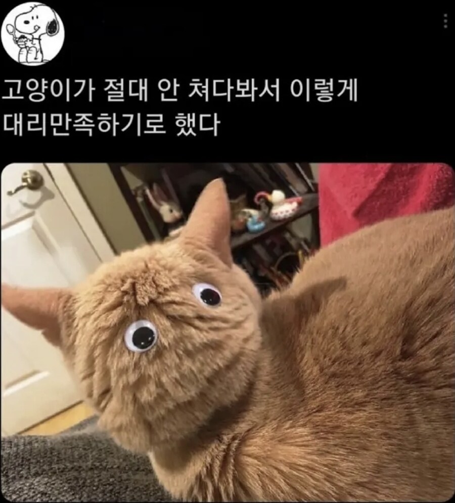 너무 도도한 고양이의 카운터_1.jpg
