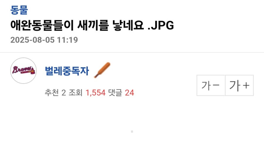 애완동물들이 새끼를 낳네요.jpg_1.jpg