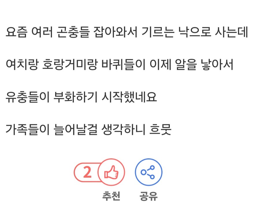 애완동물들이 새끼를 낳네요.jpg_9.jpg