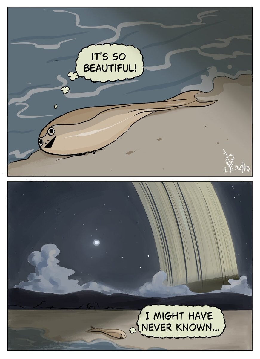 죽어가는 사카밤바피스_1.jpg
