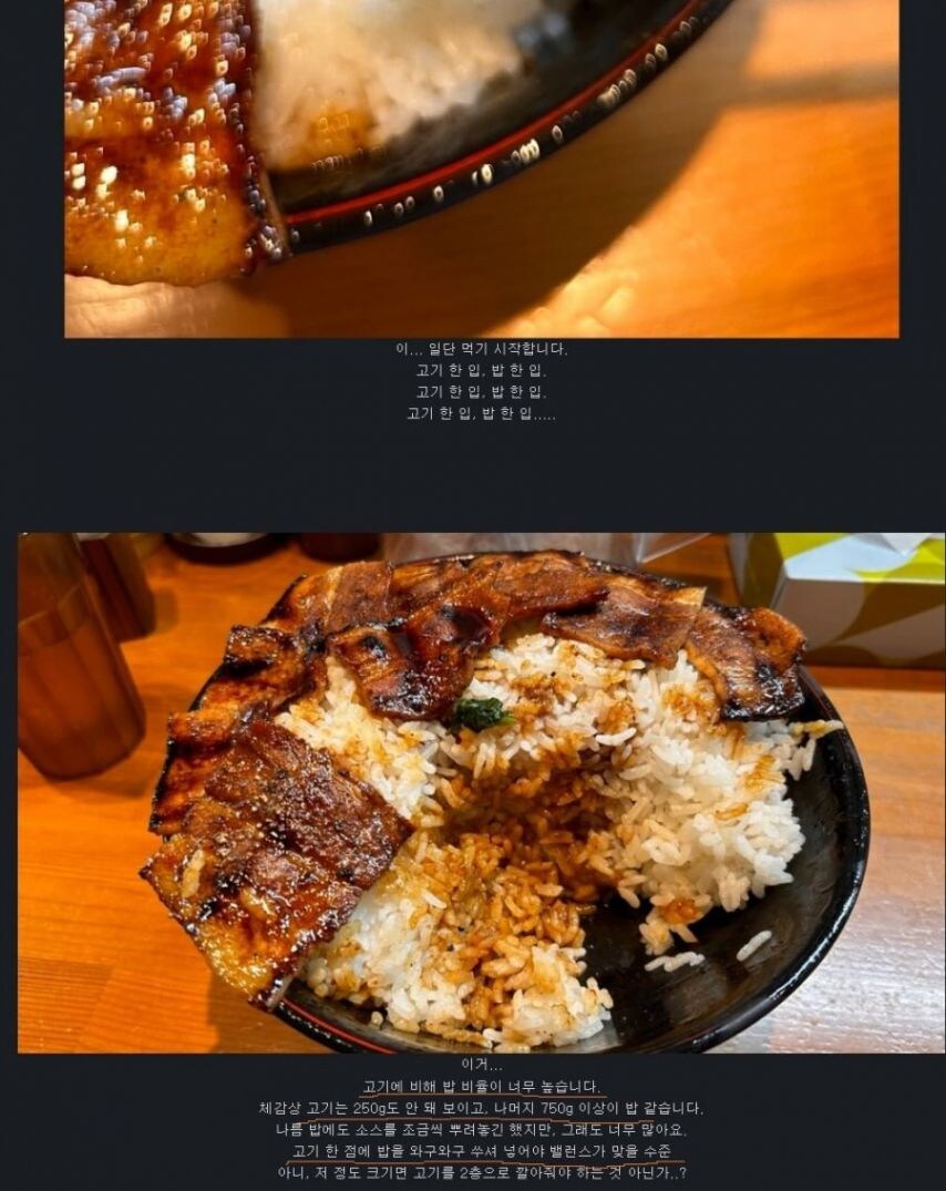 일본 1kg 중량의 돼지고기 덮밥 후기_3.jpg