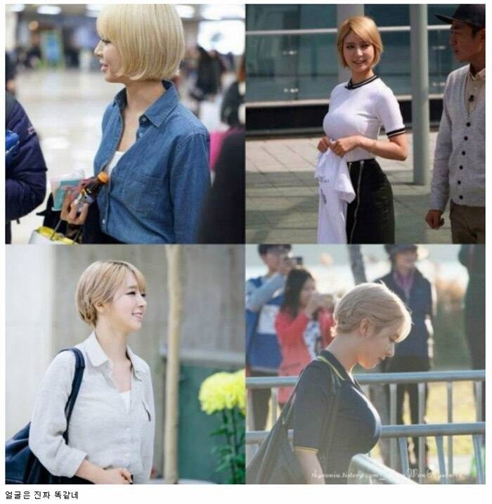 닮았는데 안 닮은 사람_1.jpg