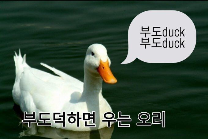 오리의 사업이 망하면?_1.jpg