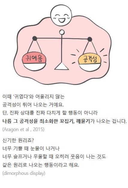 연인을 자꾸 깨물게 되는 이유.jpg_6.png