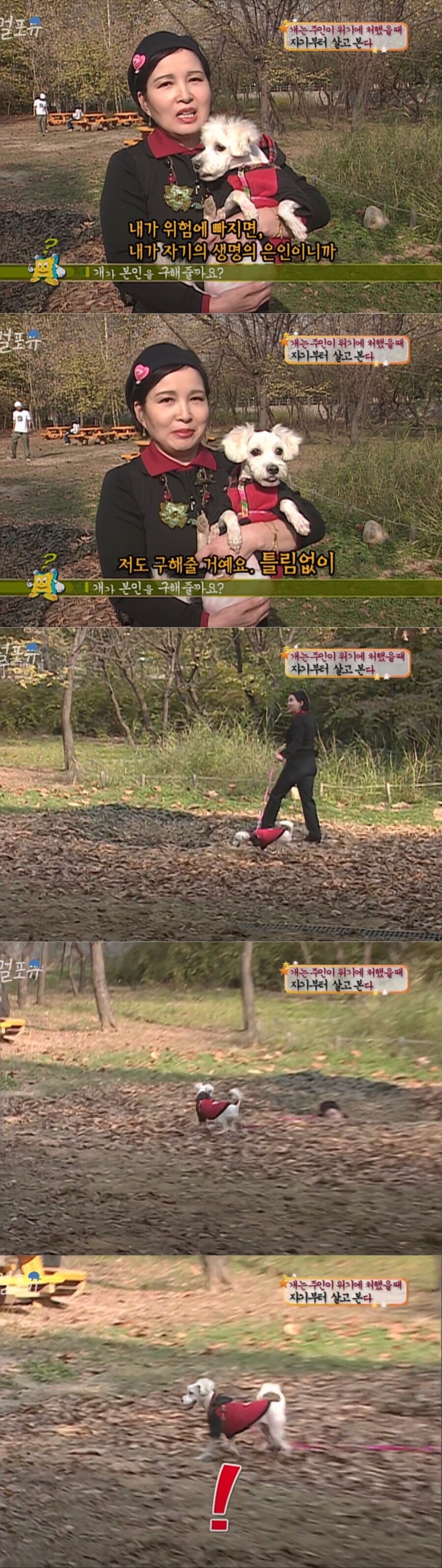주인이 위기에 처했을때 개의 반응 .jpg_1.jpg