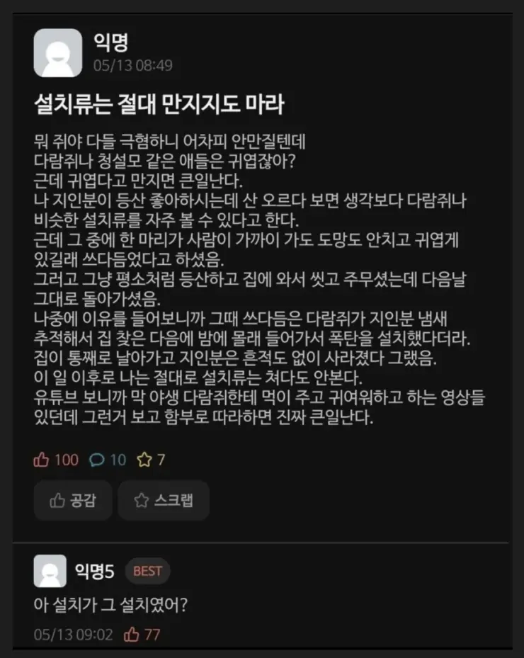 여름철 설치류 함부로 만지면 안되는 이유.jpg_1.webp