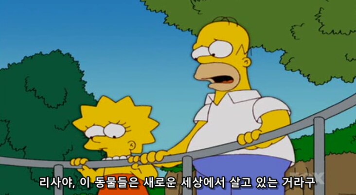 동물원에 있는 동물들이 사실 행복한 이유_4.png
