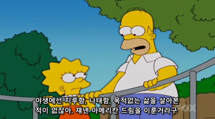 동물원에 있는 동물들이 사실 행복한 이유_5.png